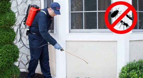 Kaynaklar Karınca İlaçlama böcek ilaçlama ve haşere kontrolü — ilaclama-tr.com